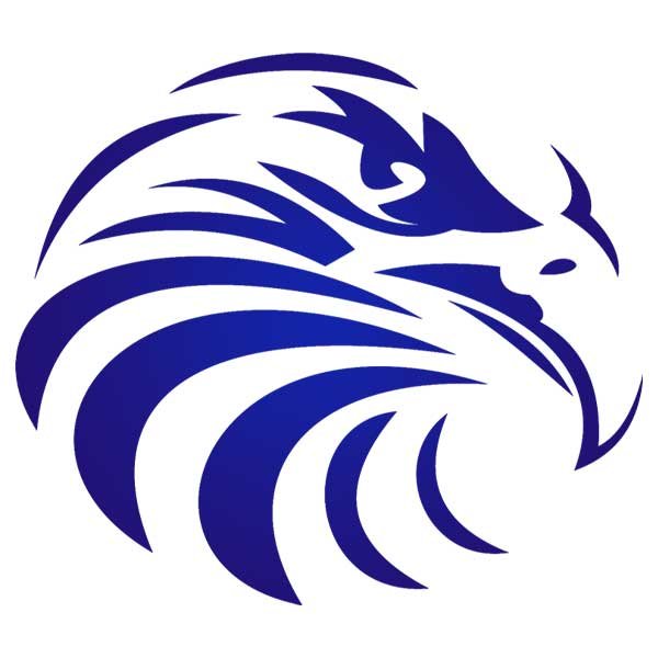 Power Marketing Eagle Logo