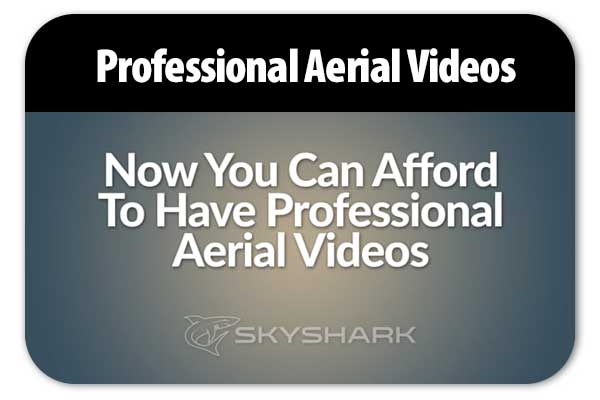 Professional Aerial Videos