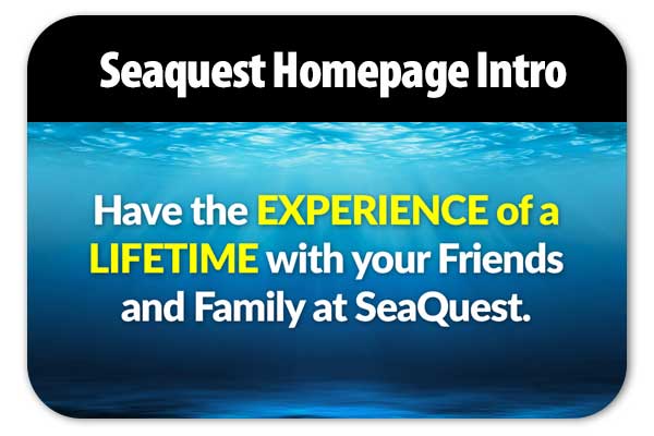 SeaQuest Homepage intro